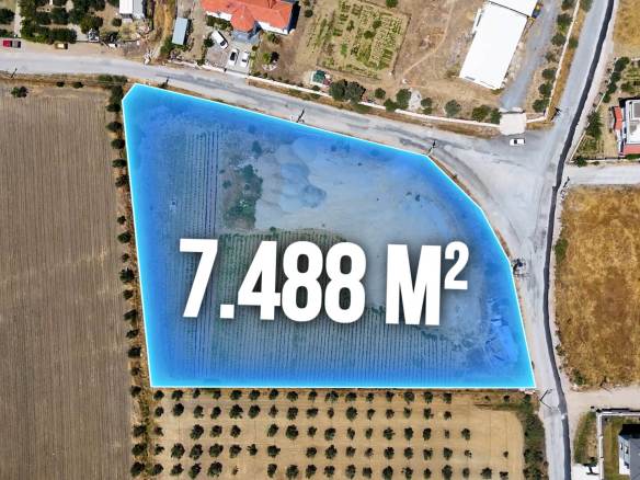Seferihisar-Düzce'de Sığacık'ta denize yakın 7.488,99 m² büyük arsa